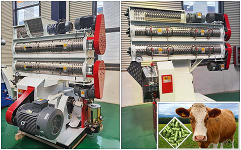 ring die poultry feed mill